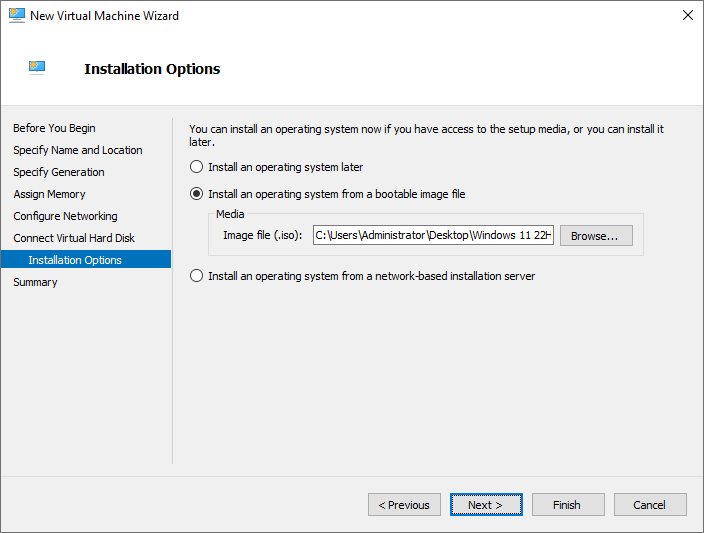 New Virtual Machine Wizard - Installation Options